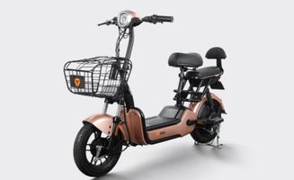 新國標實施在即，愛瑪與雅迪電動車如何選擇？