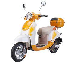 飄洋電動(dòng)車加盟 全程扶持，助您輕松創(chuàng)業(yè)無(wú)憂